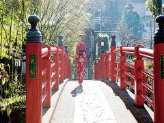 日本の秋を肌で感じる♡列車に乗って行く、とくべつな小旅のすすめ