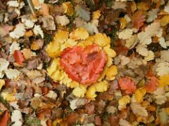 秋ネイルはアースカラーで指先からしっとり大人顏