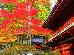 レトロな世界はお好きですか？ゆったり楽しむ秋の旅行は日光できまり♡