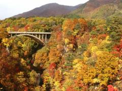 【全国版】"日本紅葉の名所100選"に選ばれた！絶景広がる紅葉スポット5選