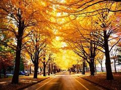 夏が名残惜しいから。砂浜みたいなシュガーネイルで指先に夏の思い出を詰め込むの♡