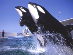 彼とのドライブデートなら房総半島でしょ？オススメ観光スポットベスト５