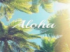 ハワイ土産でオーダーしたい！美肌を作る「プロポリス石鹸」が優秀って噂♡