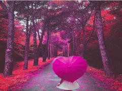 やっぱりお台場♡寒い季節は少しベタなデートでロマンチックに。