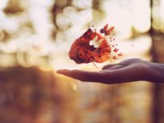 2015秋、大人化したい私はブラウンネイルを身にまとう♡