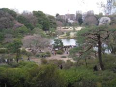 絶景のしだれ桜。東京・六義園でいつもと違うお花見を。