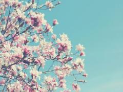 指先から呼び込む春の訪れ。シトラスカラーで始めるspringネイル♡