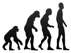 質問は2つだけ！本質が見える［類人猿診断］が当たりすぎると話題