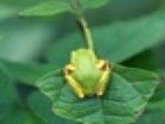 〔京都〕舞妓さんが集う花街・上七軒で見つけた町家カフェ3選