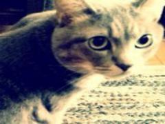 《2016》年に一度の真冬の祭典！"さっぽろ雪まつり"を楽しむポイント♡