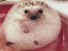 雪じゃないの＊ホワイトレースでつくる、冬ネイルカタログ！