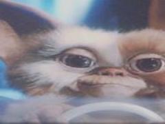 10年後の為の《オーガニック主義》未来の私もキレイで居たいから自然の力を味方に。