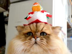 脱 "鏡餅"フェイス！たぷたぷ二重あごをスッキリ小顔にする方法