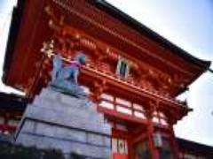 【初詣】伏見稲荷大社でスムーズに参拝するコツ！