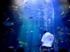 〔京都〕水族館でモグモグ。見た目のキュートな"すいぞくパン"