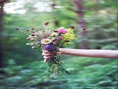 指先で一生枯れない…。可愛さが止まらない『押し花ネイル』で春満開＊