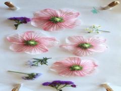 好きな色は乙女色。こなれ感抜群な"ダスティピンク"で大人ガーリーを纏いましょ