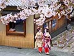春の京都は桜の名所で！人気のスポットはここだ！