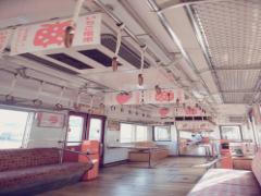 いちご電車におもちゃ電車？乙女心をくすぐる和歌山県の電車4選♡