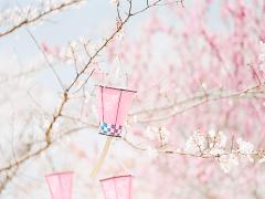 地元民の私が推す♡都心の桜トンネル、目黒川でのお花見マニュアル