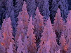 寒空の中、春を待ち焦がれる。冬▷春は、"スモーキーラベンダー"で手元を彩って