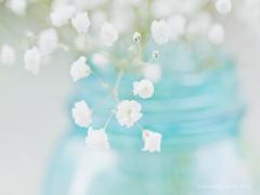 まだ寒いけど春っぽさが欲しいなら。パステルカラーのフレンチネイル集