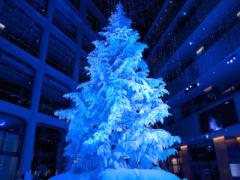 〈関東〉まだ見れる冬の宝石。「いいね♡」が増えるイルミネーション10選