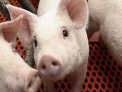 太ももー5センチも夢じゃない？！セルライトをつぶして理想の美脚を手に入れましょう。