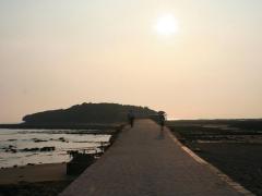 グルメやテーマパークが盛りだくさん！宮崎市のオススメ観光ルート