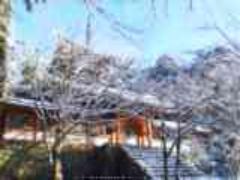 四季の美しさを感じたい。【シーン別】京都のおすすめ散歩コース3選