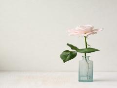 お花のある生活が女をたかめる。人生を華やかにする＃一輪挿し のすゝめ