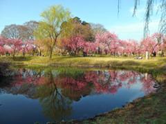 歴史を感じる！茨城県のパワースポットを観光しよう