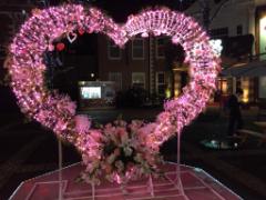 まだまだ楽しめる♡絶対行きたい、全国イルミネーションランキング5選