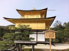 古都・京都を訪れたら抑えておきたい人気観光地まとめ