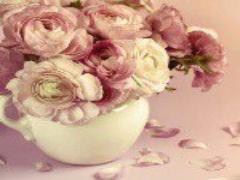 じんわり変化するカラーを楽しんで♡春にしたい、グラデーションネイル