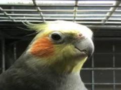 その美しさ、5割増し。行って感じた「さっぽろ雪まつり」の最推しスポット