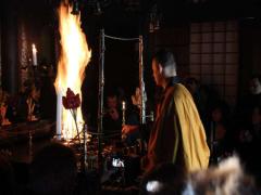 不思議な力と長い歴史？今すぐ行きたい、高野山おすすめ観光スポット