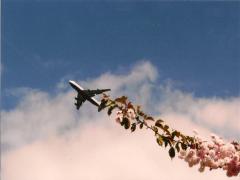 数十カ国旅した私の一押しスーベニア。絶対に喜ばれる〝マストバイ〟なお土産5選