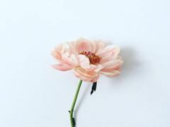 もう春の気分です、指先から呼び込む透け感のあるクリアネイル