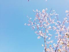 キュートな春らしさ実らせる。可愛さ満開の‘さくらんぼネイル’