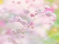 1年で最も盛れない自分におさらば♡おブスを作りだす花粉症完全対策