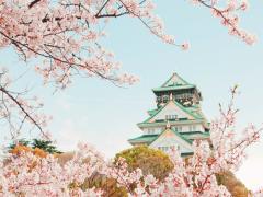 観光地よりも気になる？外国人旅行客が好む意外な日本の人気スポット