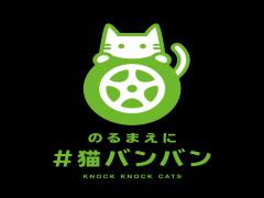 【SNSで話題】たった2秒で救える命。#猫バンバンで車のボンネットからネコを救出しよう
