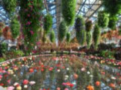 丸々1日遊べる人気テーマパーク！なばなの里で宿泊しよう