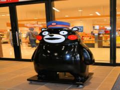 満喫の旅になること間違いなし！熊本市内の観光スポットガイド