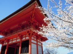 週末電車でGO♡初めての関西でも大丈夫！よくばり観光地巡り