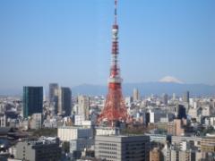 東京タワーがお出迎え♪浜松町のホテルで夜景を堪能しよう