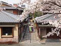"定番"には理由がある。桜の名所「哲学の道」で京都の春を感じる旅