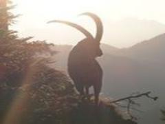 桜の名所も！郡山観光で日頃の疲れを癒す旅にお出かけしよう♡