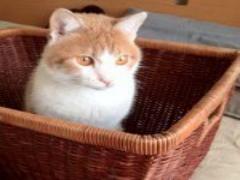 きっとあなたを癒してくれる。自然いっぱいな十勝で観光しませんか？